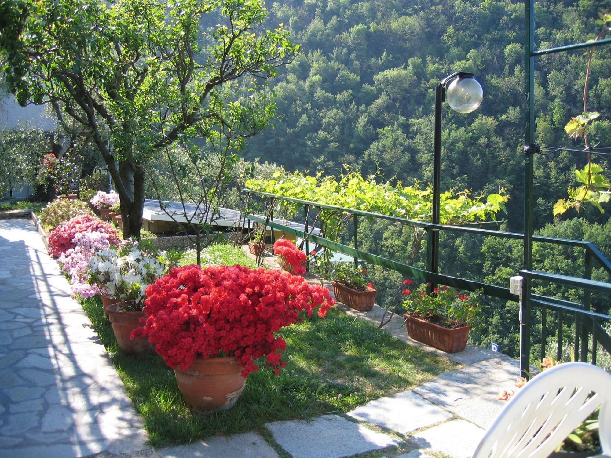 Vakantieboerderij Cerisola 2003