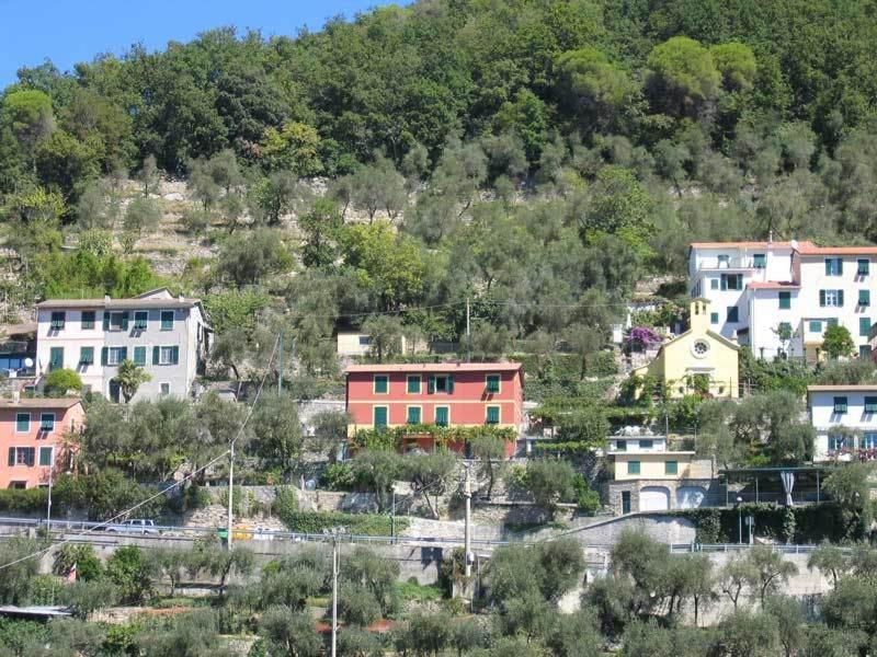 Cerisola 2003 Zoagli